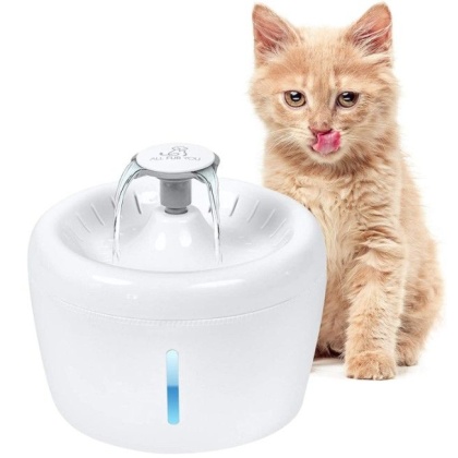 All Fur You Whisper Water Fountain - 1 count