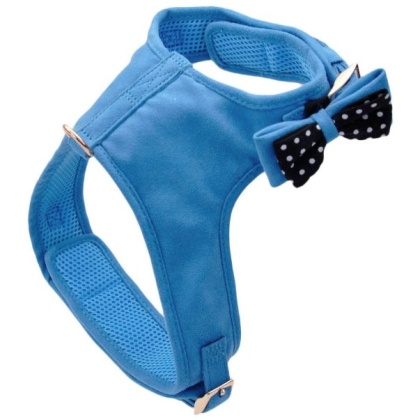 Coastal Pet Accent Microfiber Dog Harness Boho Blue with Polka Dot Bow - Medium