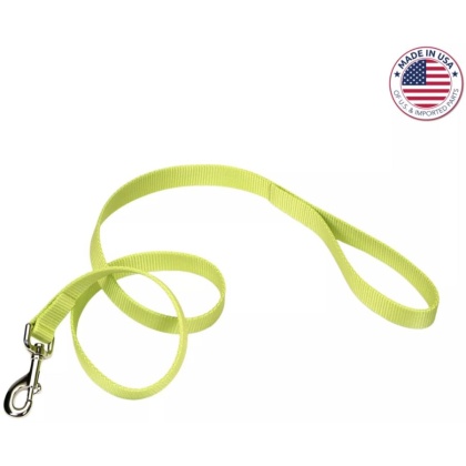 Coastal Pet Single-Ply Nylon Dog Leash Lime Green - 6 feet x 3/8\