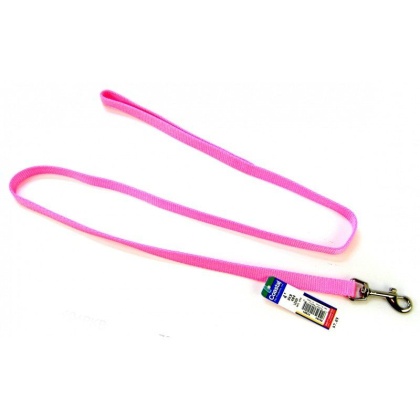 Coastal Pet Nylon Lead - Bright Pink - 4' Long x 5/8