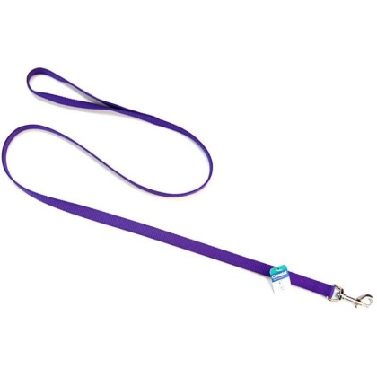Coastal Pet Nylon Lead - Purple - 4' Long x 5/8