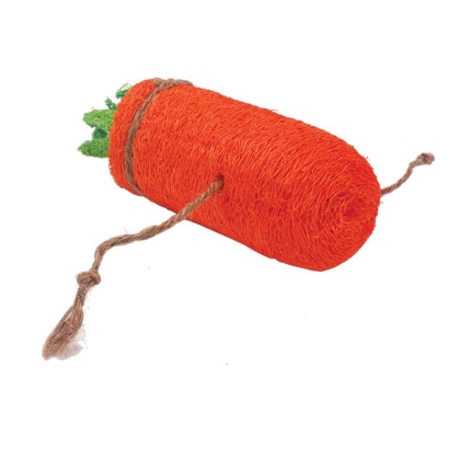 AE Cage Company Nibbles Carrot Loofah Chew Toy Large - 1 count
