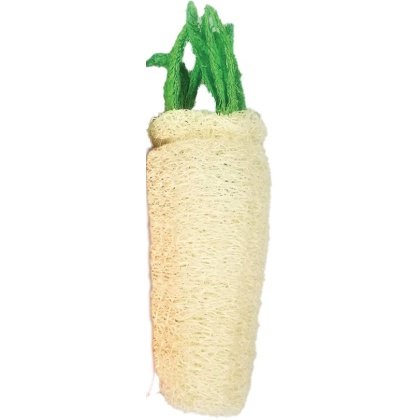 AE Cage Company Nibbles Daikon Loofah Chew Toy Large - 1 count