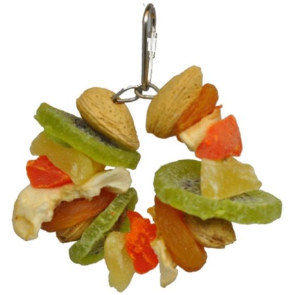 AE Cage Company Happy Beaks Deluxe Fruit and Nut Ring Jr Tropical Delight - 1 count