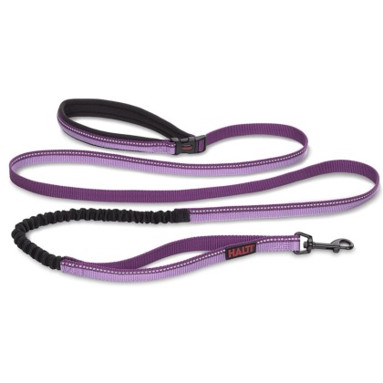 Company of Animals Halti All In One Lead for Dogs Purple - Small