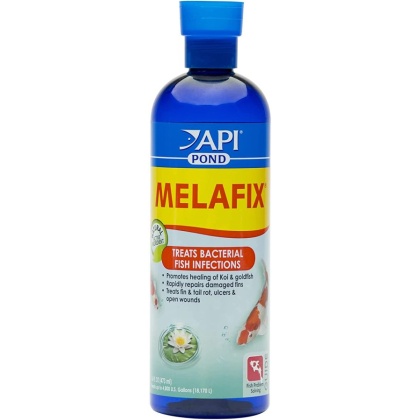 PondCare MelaFix Antibacterial Remedy for Koi & Goldfish - 16 oz (Treats 4,800 Gallons)