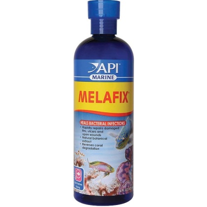 API Marine MelaFix Antibacterial Fish Remedy - 16 oz