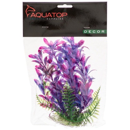 Aquatop Hygro Aquarium Plant - Pink & Purple - 6\