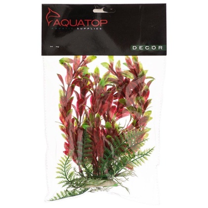 Aquatop Hygro Aquarium Plant - Red & Green - 6\