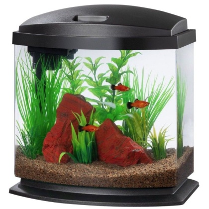 Aqueon LED MiniBow 2.5 SmartClean Aquarium Kit Black - 2.5 gallon