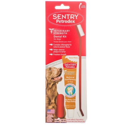Petrodex Dental Kit for Dogs - Peanut Butter Flavor - 2.5 oz Toothpaste - 8.25