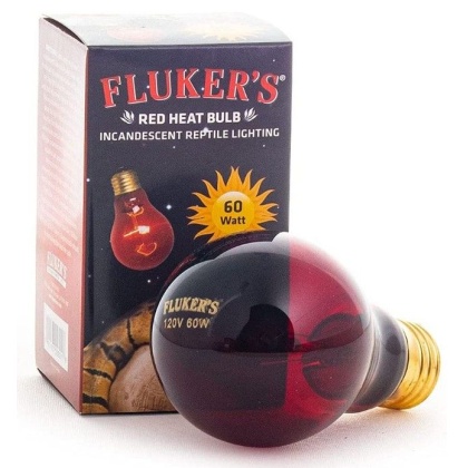 Flukers Red Heat Incandescent Bulb - 60 Watt