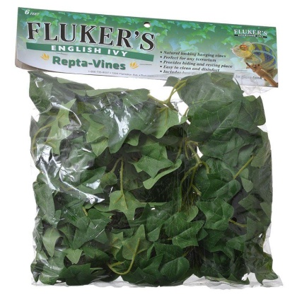 Flukers English Ivy Repta-Vines - 6' Long