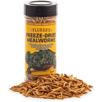 Flukers Freeze-Dried Mealworms - 1.7 oz