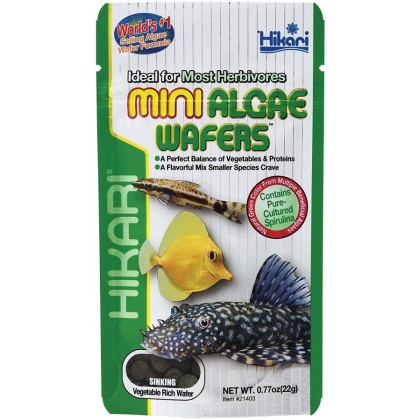 Hikari Mini Algae Wafers - .77 oz