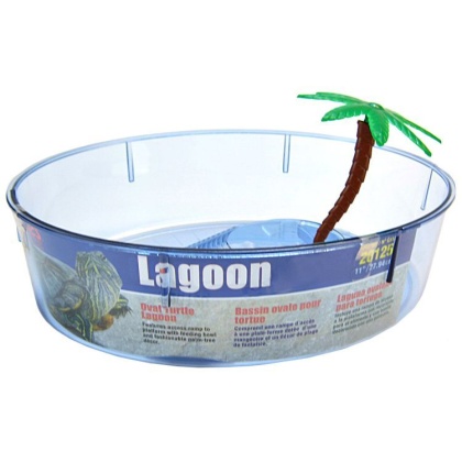Lees Turtle Lagoon - Assorted Shapes - Oval Shaped - 11