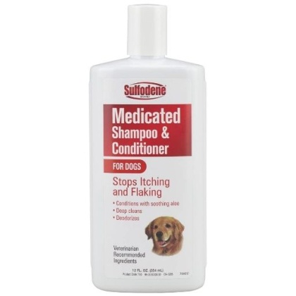 Sulfodene Medicated Shampoo - 12 oz
