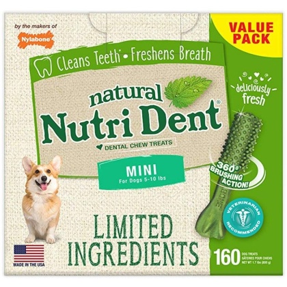 Nylabone Natural Nutri Dent Fresh Breath Dental Chews - Limited Ingredients - Mini - 160 Count
