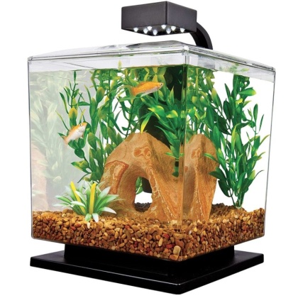 Tetra Cube Aquarium Kit with LED Lighting - 1.5 Gallon Aquarium Kit
