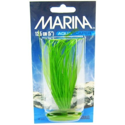 Marina Hairgrass Plant - 5\