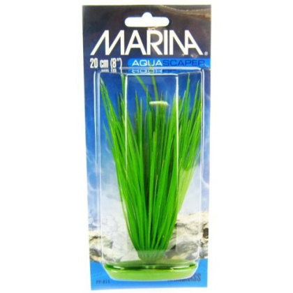 Marina Hairgrass Plant - 8\