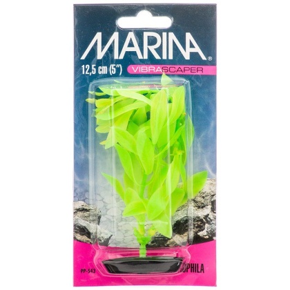 Marina Vibrascaper Hygrophilia Plant - Green DayGlo - 5\