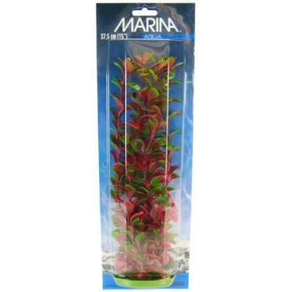 Marina Red Ludwigia Plant - 15