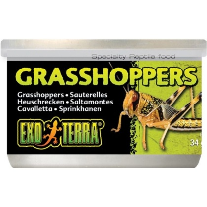 Exo-Terra Grasshoppers Reptile Food - 1.2 oz (34 g)