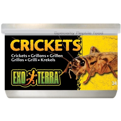 Exo Terra Canned Crickets Specialty Reptile Food - 1.2 oz