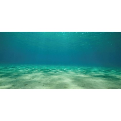 Aquatic Creations Ocean Floor Cling Aquarium Background - 36\