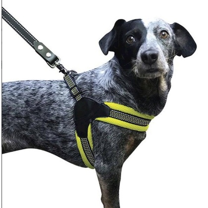 Sporn Easy Fit Dog Harness Yellow  - Medium 1 count