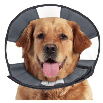 ZenPet Zen Cone Soft Recovery Collar - X-Large - 1 count
