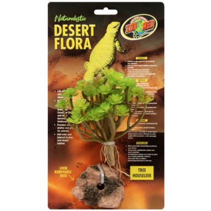 Zoo Med Tree Houseleek Desert Flora Terrarium Plant - 1 count