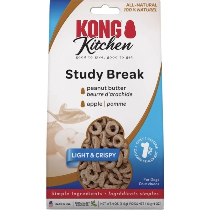 KONG Kitchen Study Break Dog Treat - 4 oz