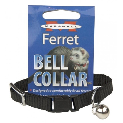 Marshall Ferret Bell Collar - Black - 1 Count
