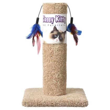 Classy Kitty Cat Scratching Post with Feathers - 17.5