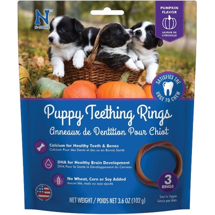 N-Bone Puppy Teething Ring - Pumpkin Flavor - Puppy Teething Ring - 3.5