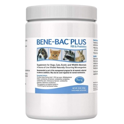 Pet Ag Bene-Bac Plus Pet Powder - 1 lb
