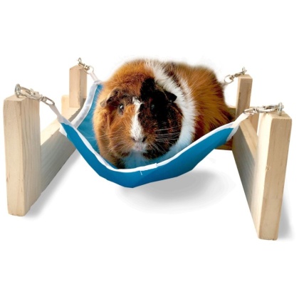 Kaytee Hammock with Stand - 1 Pack - 11