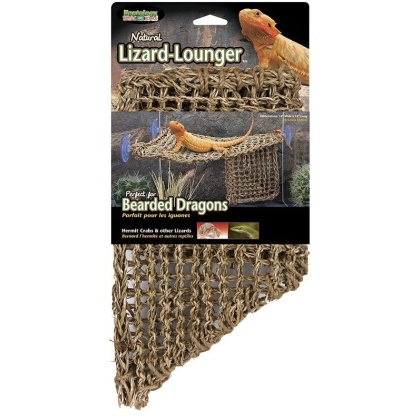 Penn Plax Reptology Natural Lizard Lounger - Large - (14\