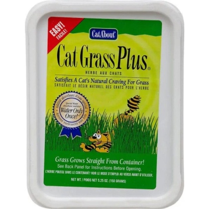 Gimborn Cat-A'bout Cat Grass Plus Multi-Cat - 1 count