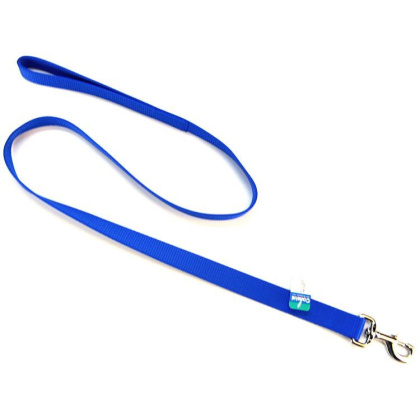 Coastal Pet Single Nylon Lead - Blue - 4\' Long x 1\