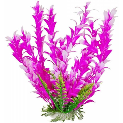 Aquatop Bacopa Aquarium Plant - Pink & White - 6\