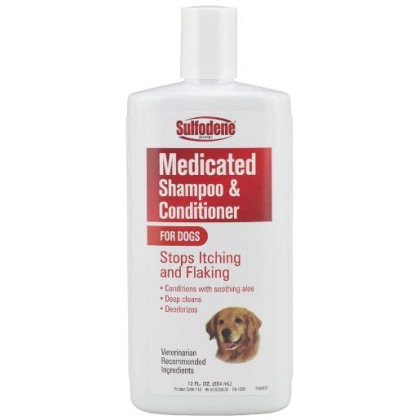 Sulfodene Medicated Shampoo - 12 oz