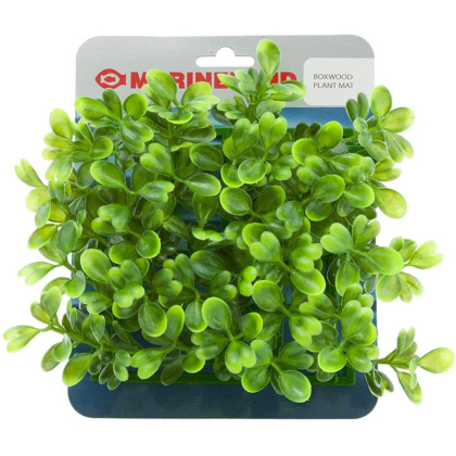 Marineland Boxwood Plant Mat - 5\