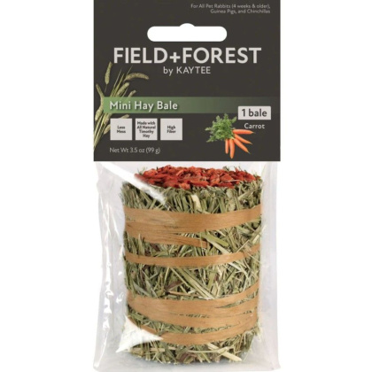 Kaytee Field and Forest Mini Hay Bale Carrot - 1 count
