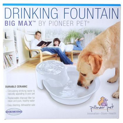 Pioneer Big Max Ceramic Drinking Fountain - White - 128 oz